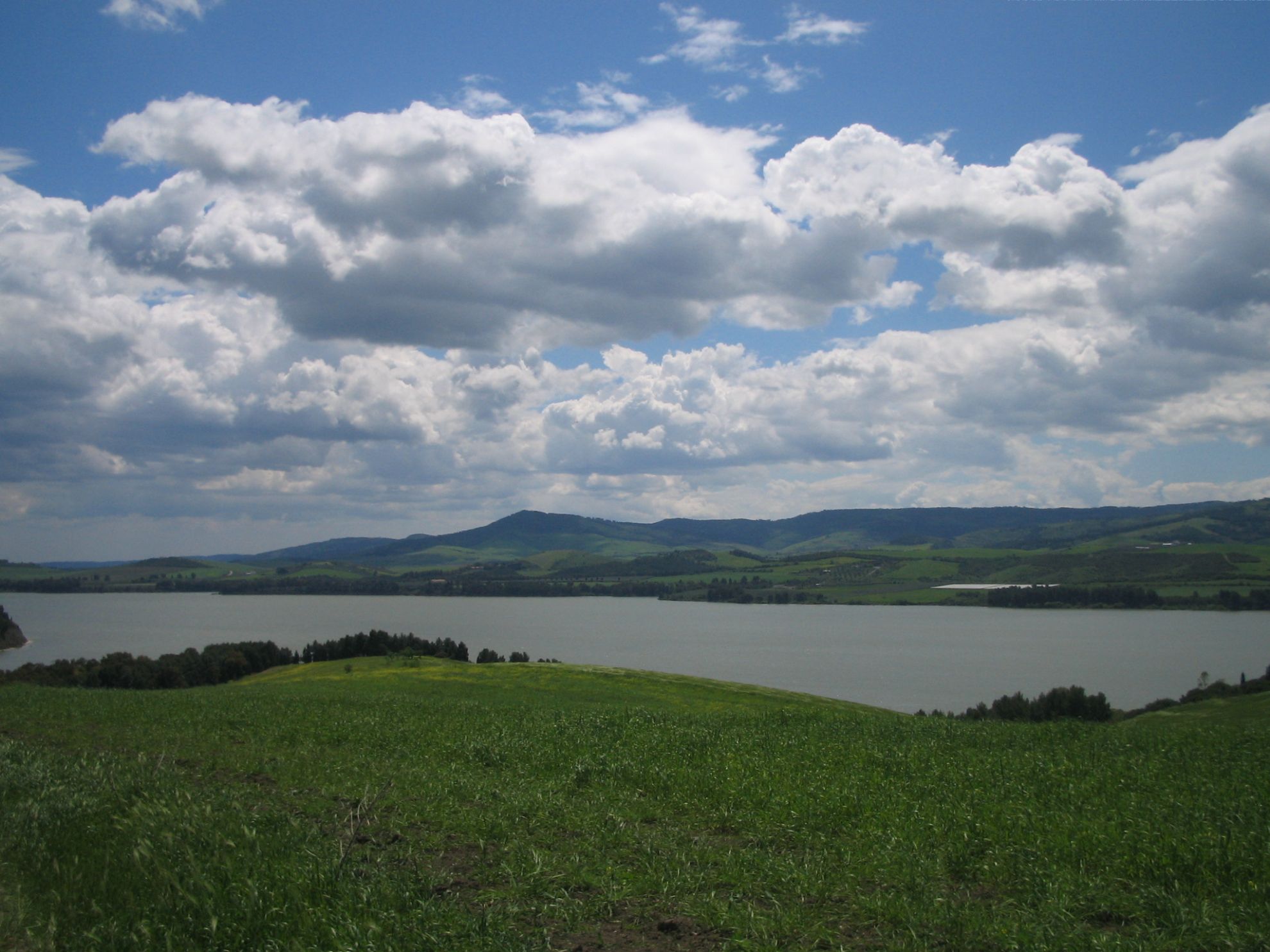 Riserva regionale San Giuliano