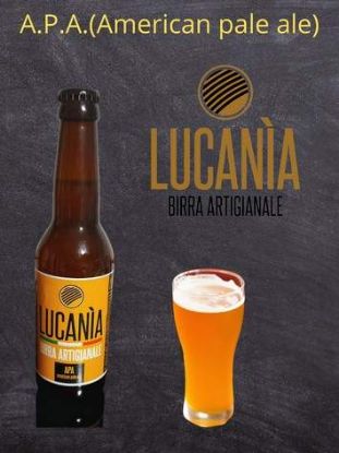 Immagine di A.P.A. (American Pale Ale) - Birra artigianale Lucanìa