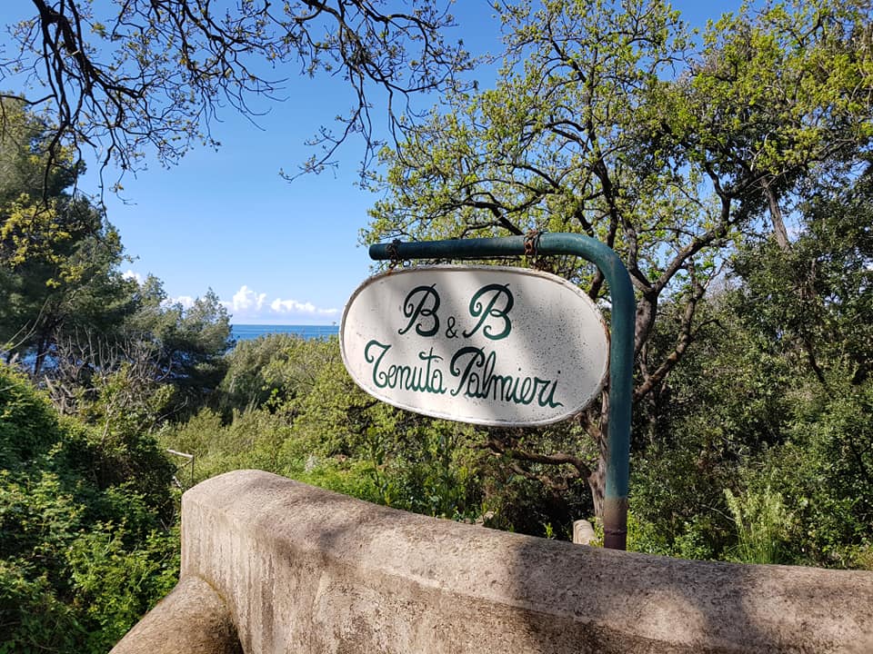 B&B Tenuta Palmieri