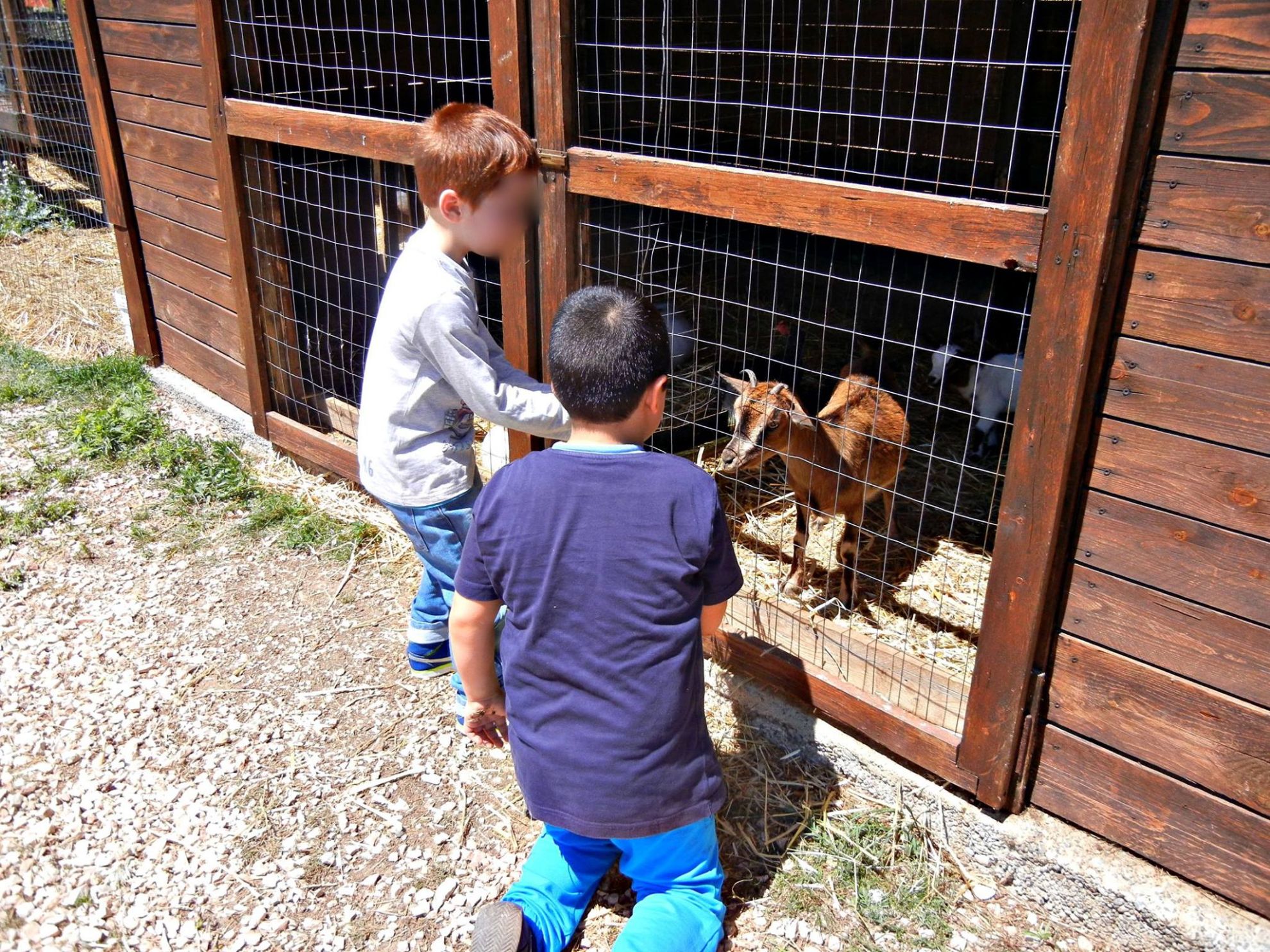 Agriturismo La Fattoria di Selvapiana