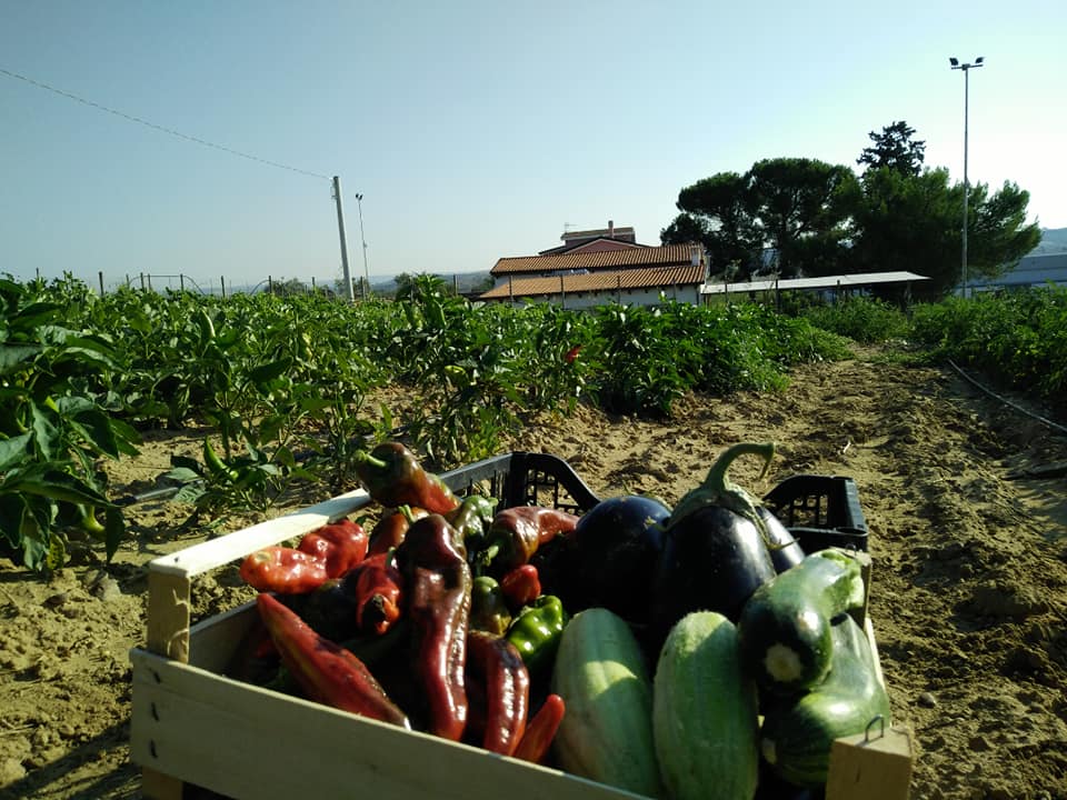 Agriturismo La Fattoria di Selvapiana