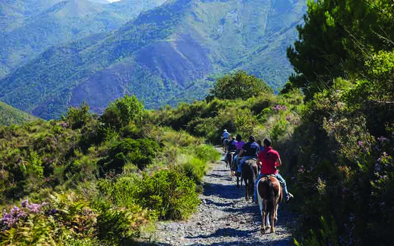 Villaggio Camping Maratea