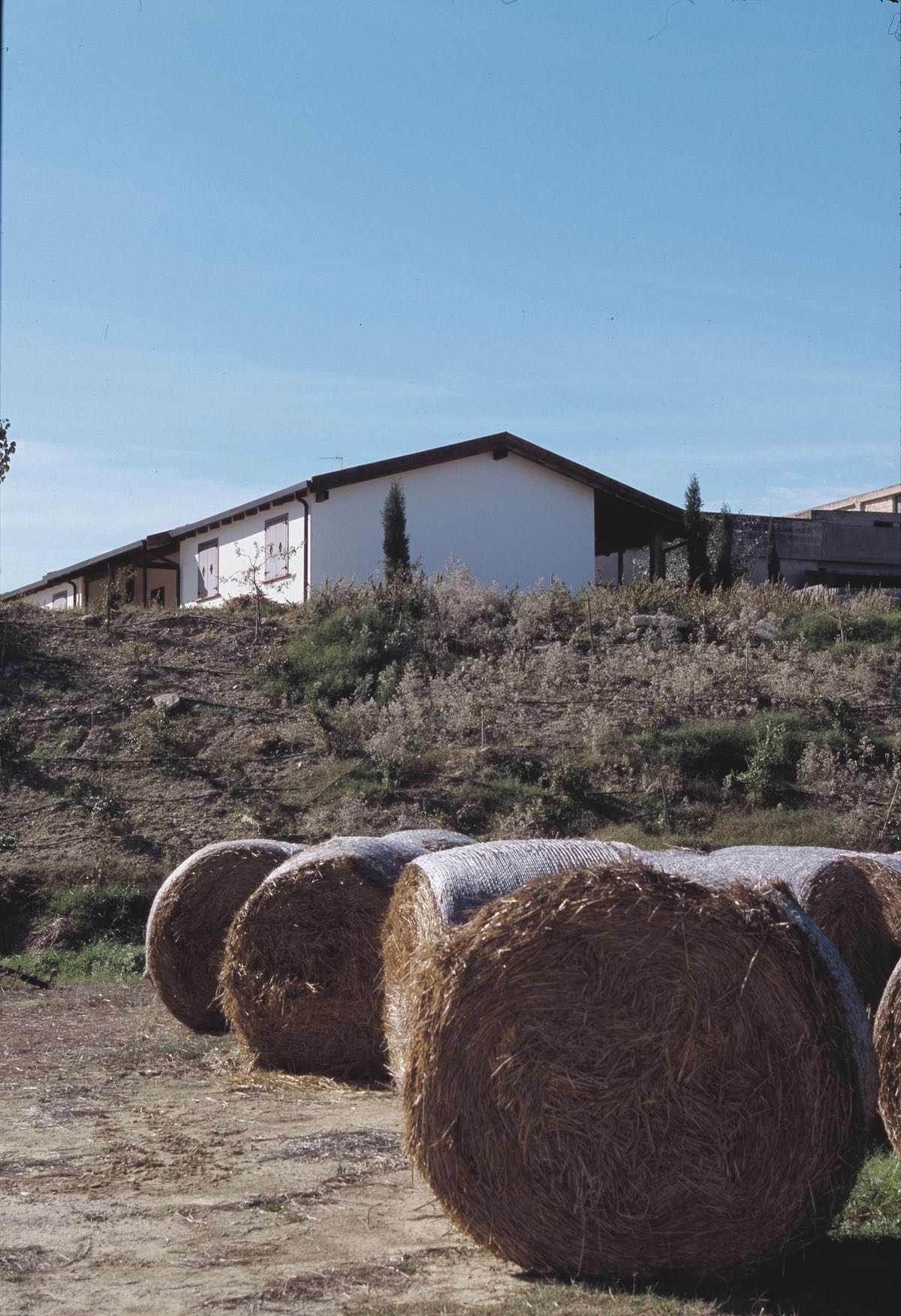 Agriturismo Masseria San Giuliano