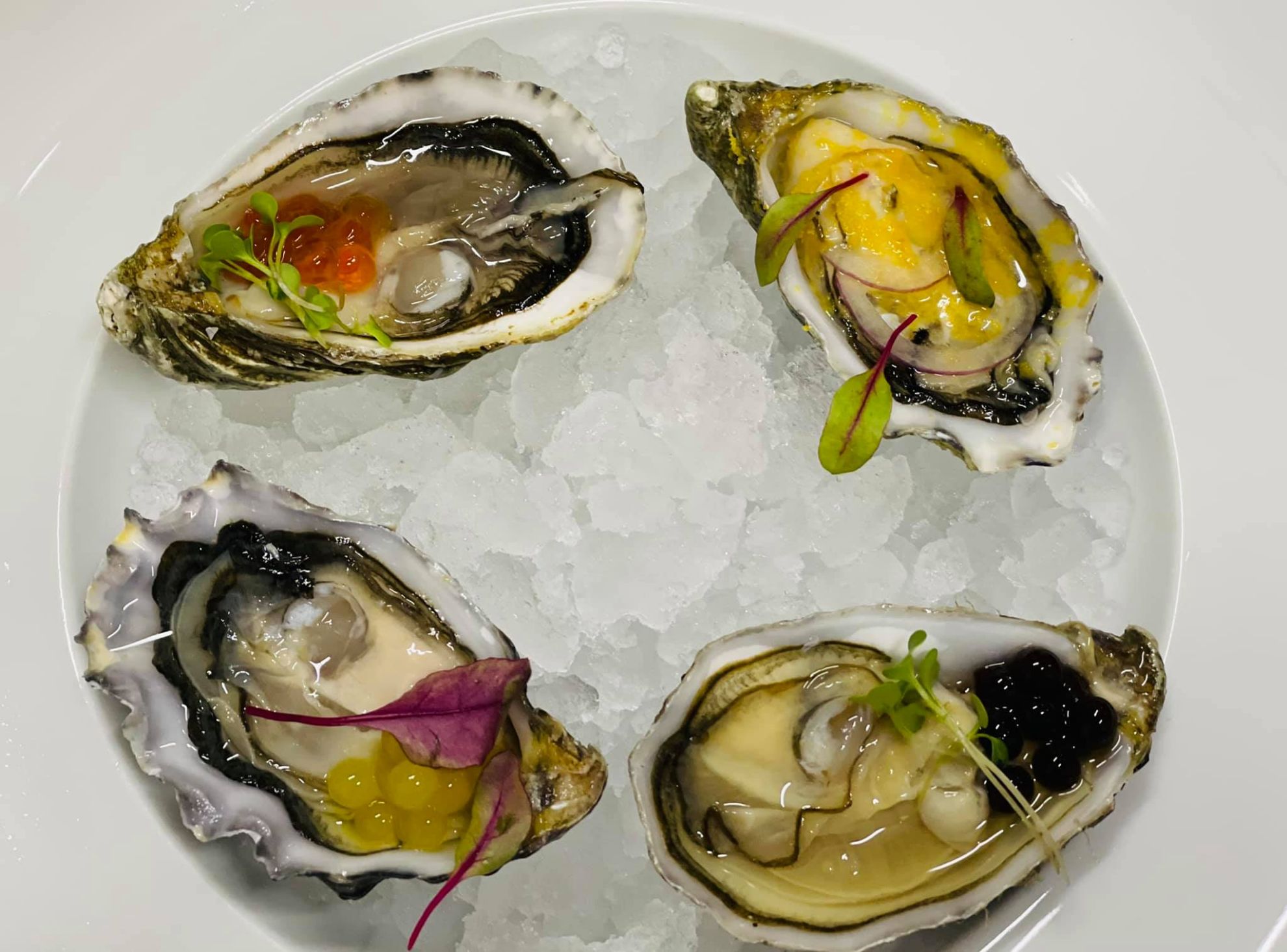 Degustàbono