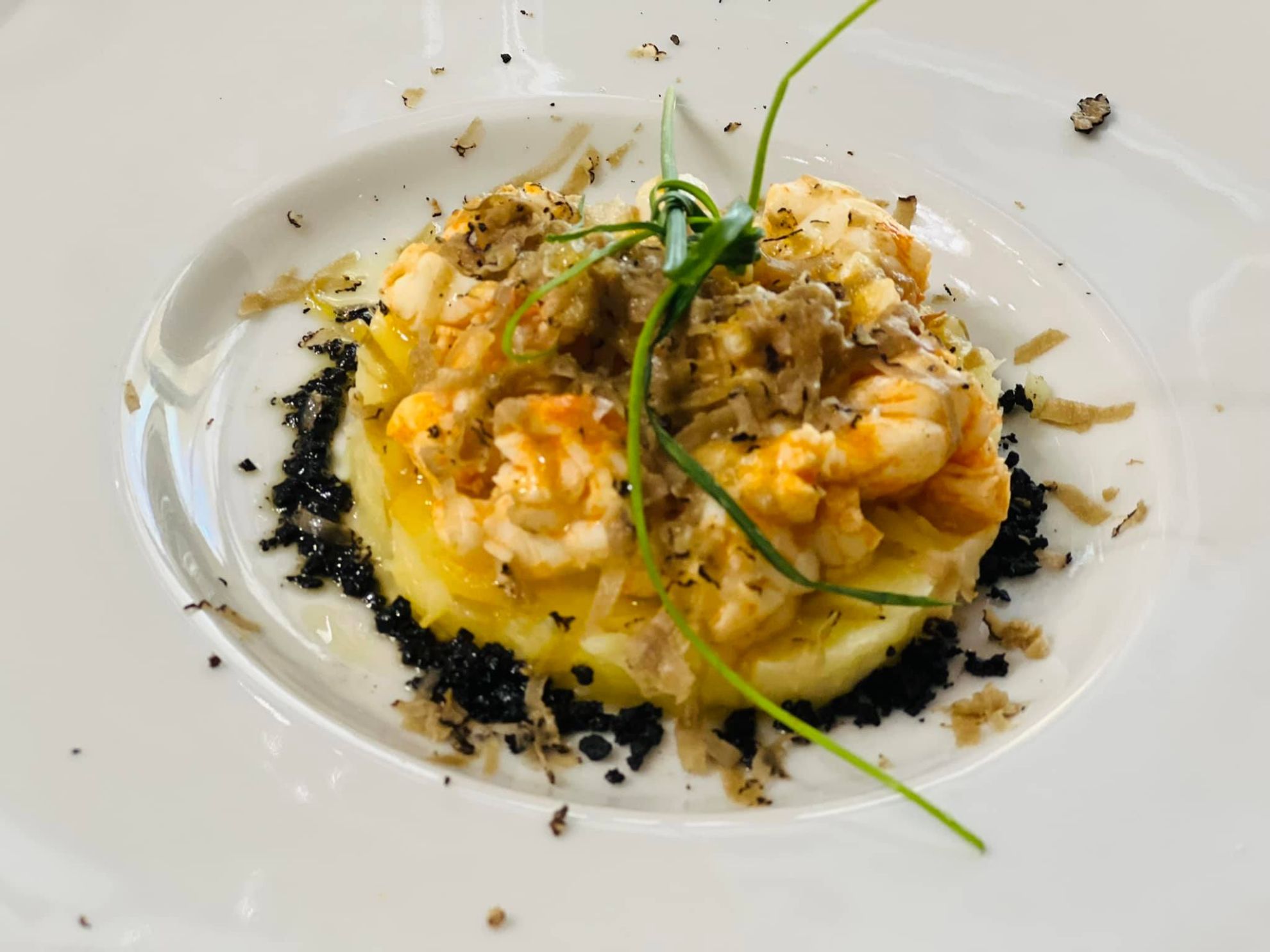 Degustàbono