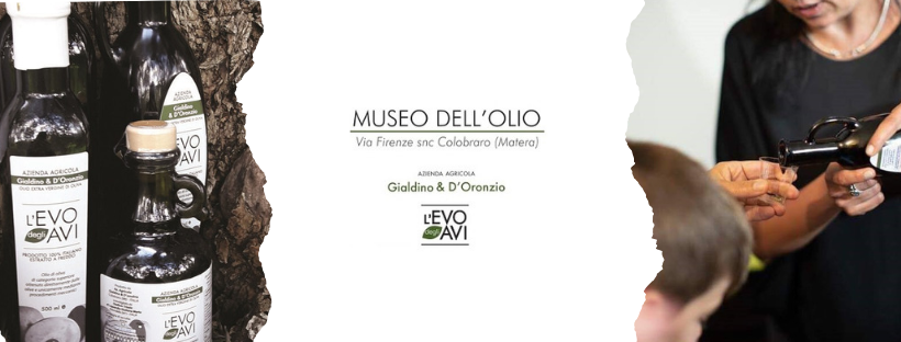 Museo dell'Olio di Colobraro - Amoreolio