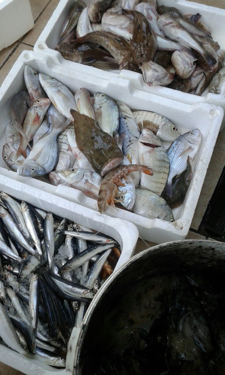 La Rosa dei Venti - Ristorante Pescheria