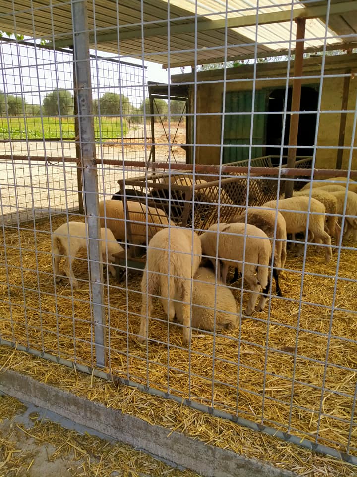 Agriturismo Il Calanco