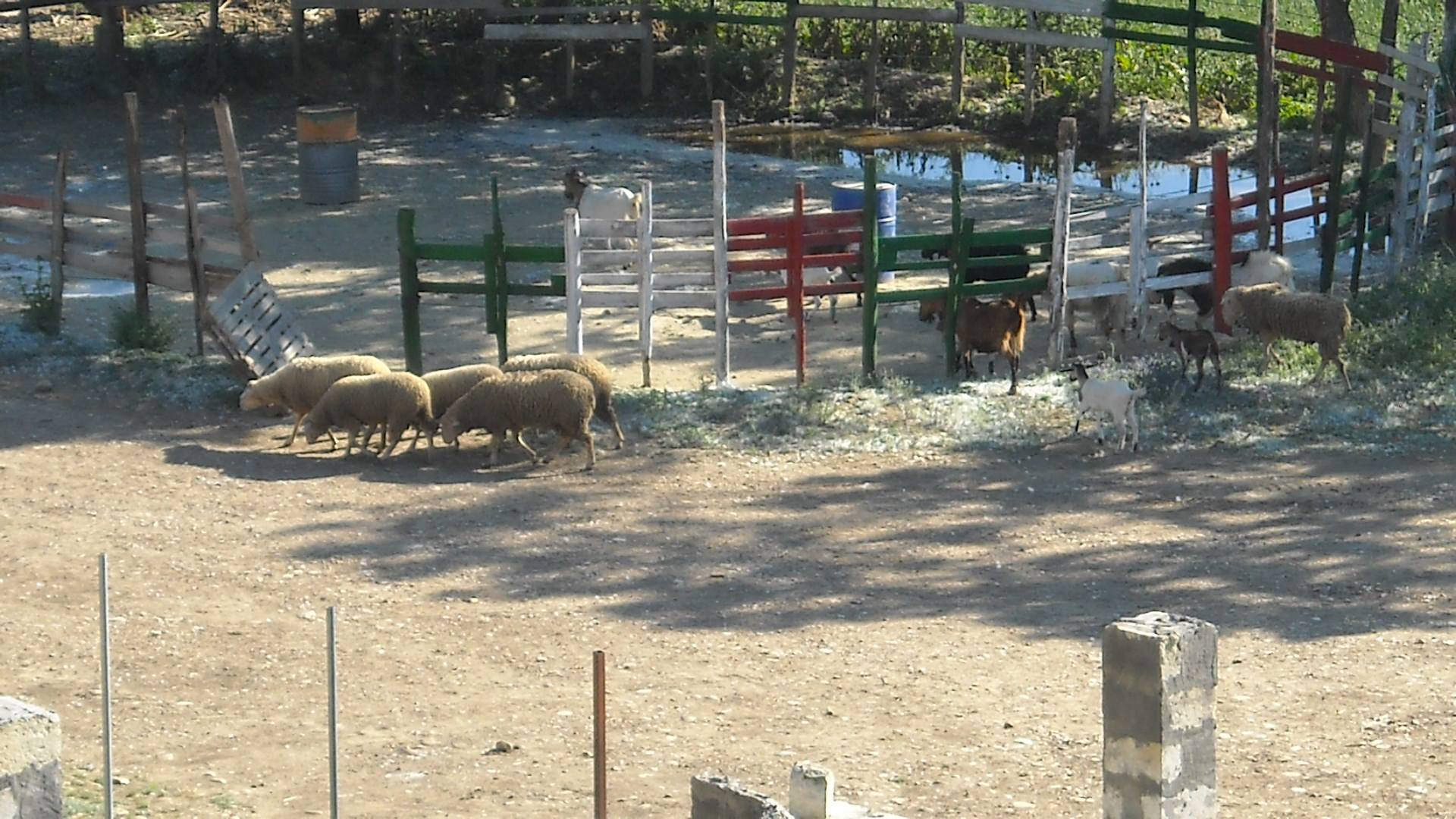 Agriturismo Carpe Diem