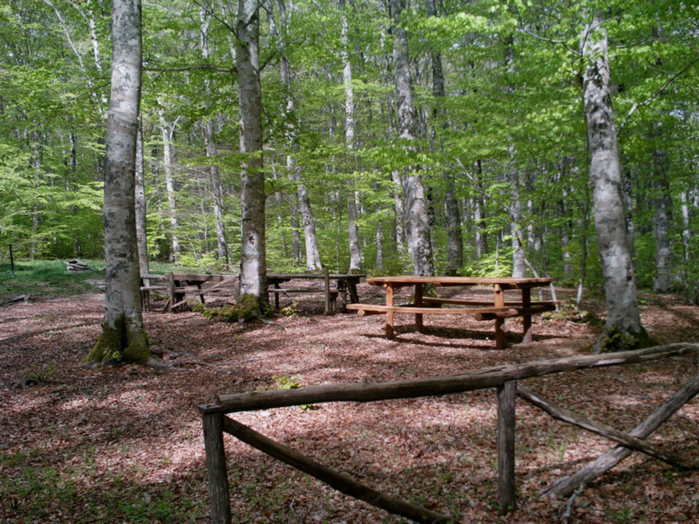 Rifugio La Faggeta