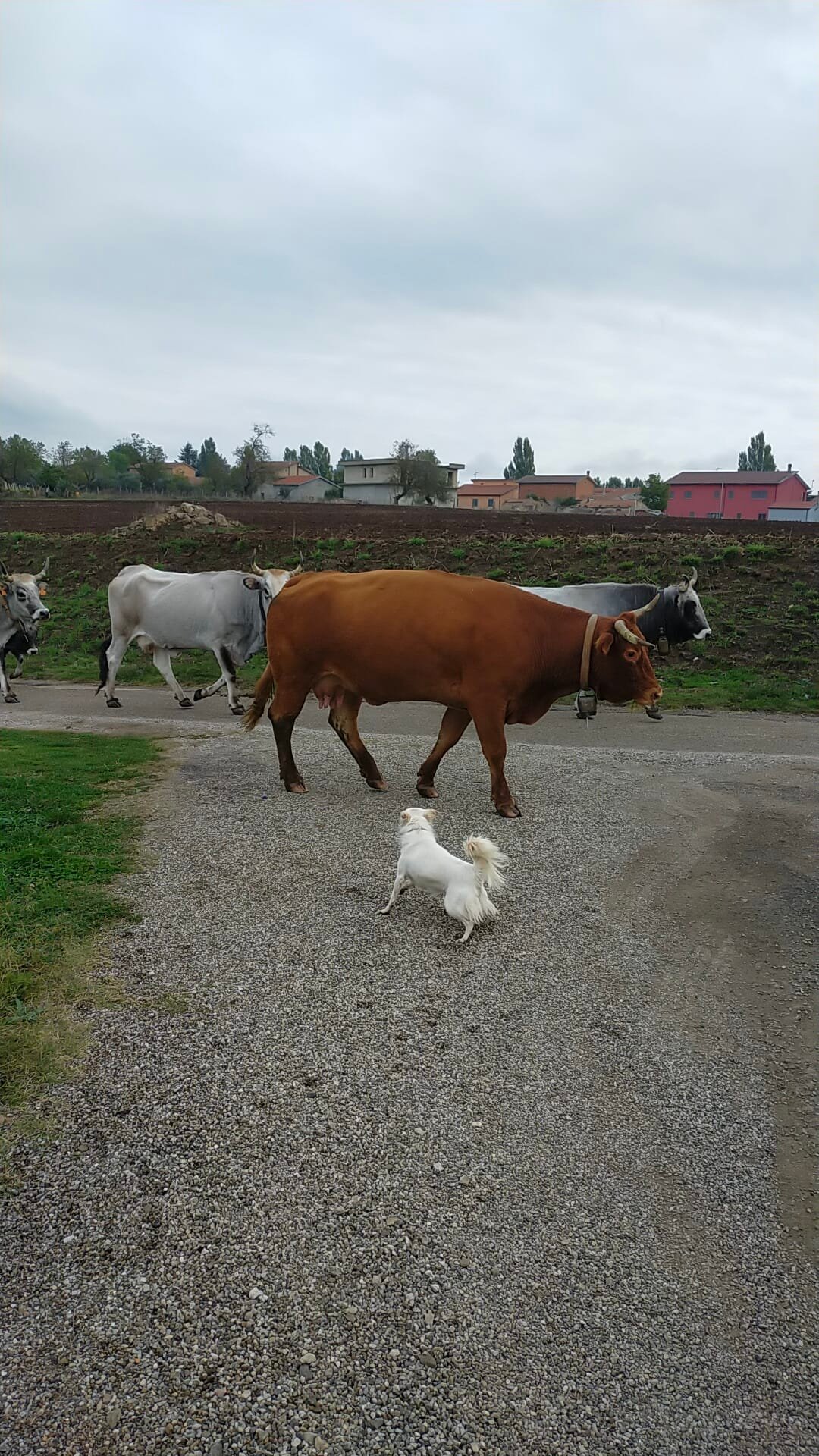 Agriturismo Rupe delle Sorbe