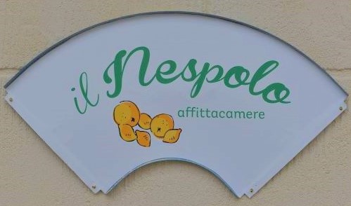 Il Nespolo