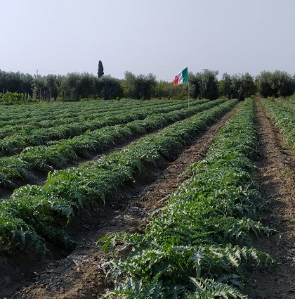 Azienda Agricola Minonni Santa