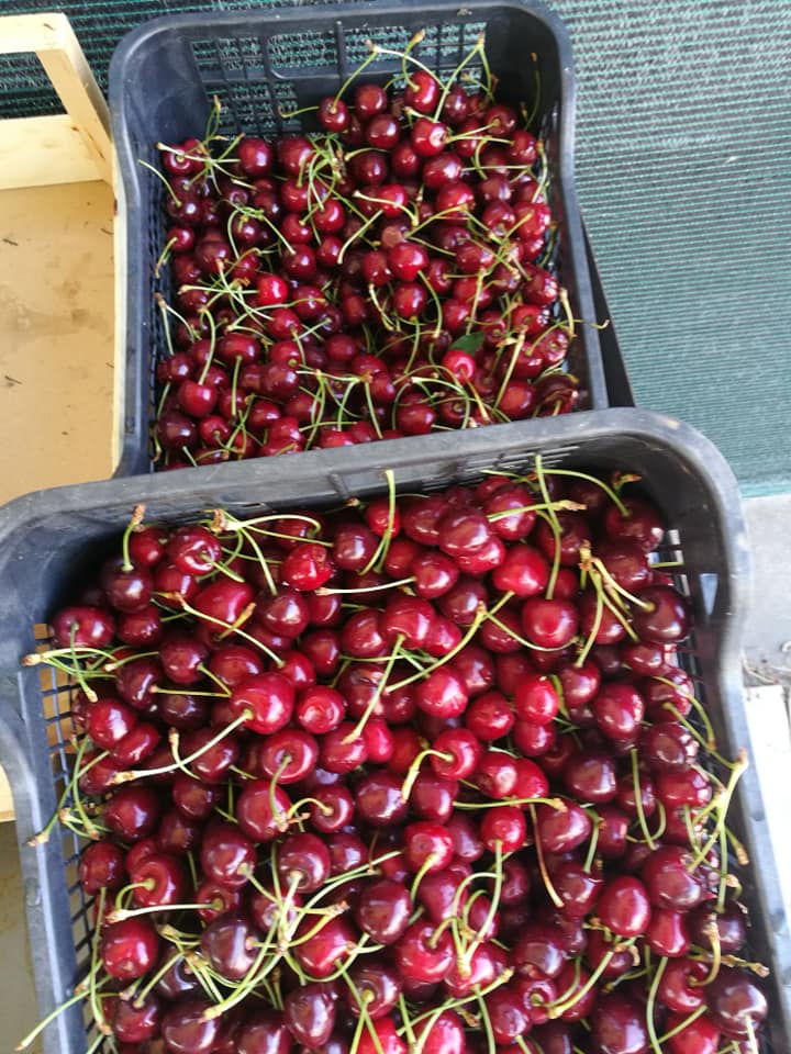 Azienda Agricola Minonni Santa