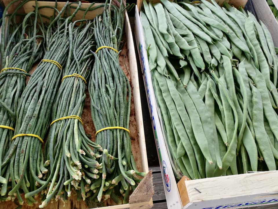 Azienda Agricola Minonni Santa