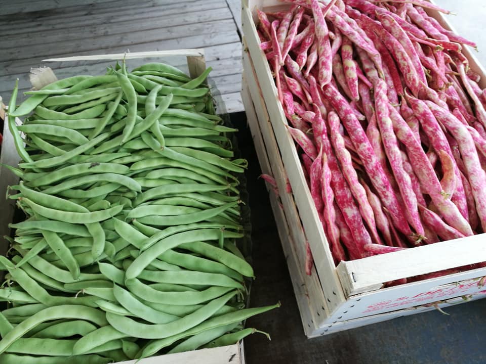 Azienda Agricola Minonni Santa