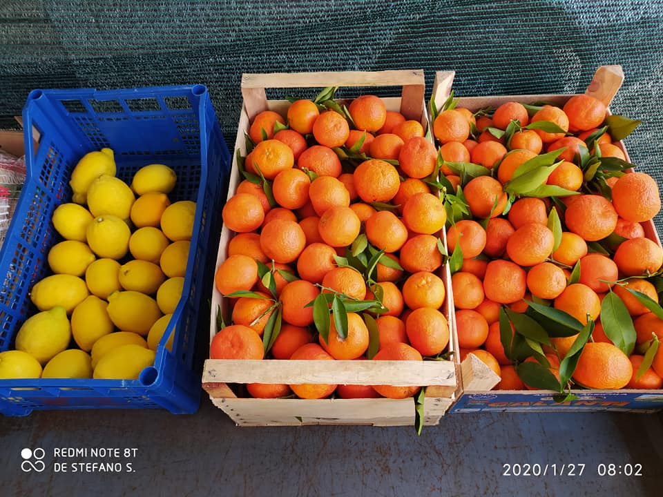 Azienda Agricola Minonni Santa