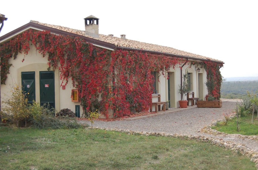 Agriturismo Carrera della Regina - Genzano di Lucania