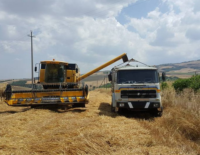 Azienda Agricola San Germano