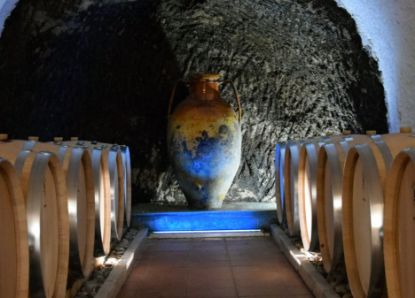 Immagine di Discover Titolo World