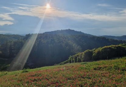 Immagine di BELVEDERE VIA VENTOMARE