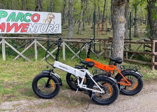 Immagine di Noleggio mountain bike  - bici con pedalata assistita