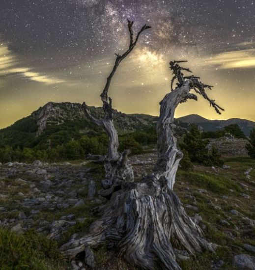 Immagine di Escursioni con campeggio nel Parco Nazionale del Pollino - LIVELLO 2