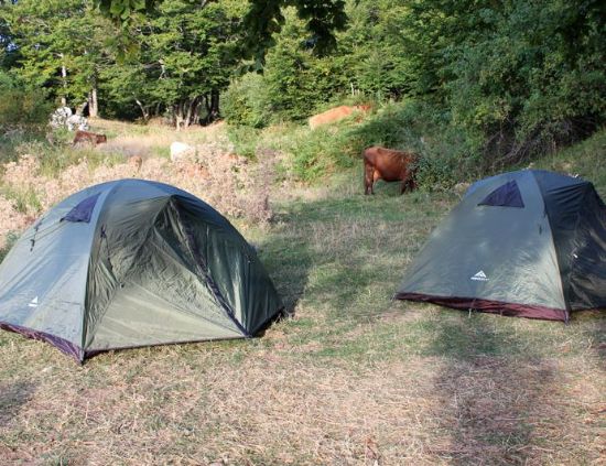 Immagine di Escursioni con campeggio nel Parco Nazionale del Pollino - LIVELLO 2