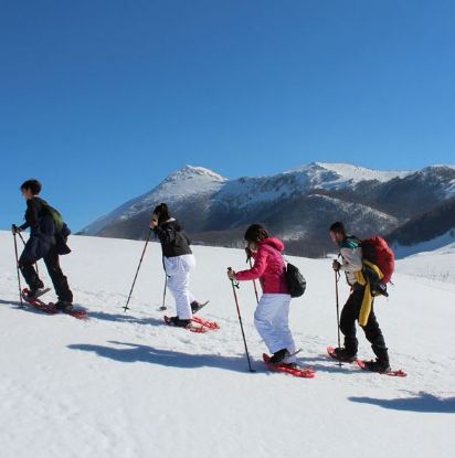 Immagine di Ciaspolate sulla neve nel Parco Nazionale del Pollino - Livello 1