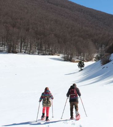 Immagine di Ciaspolate sulla neve nel Parco Nazionale del Pollino - Livello 2