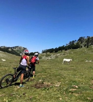 Immagine di Mountain Bike ed E-bike nel Parco Nazionale del Pollino