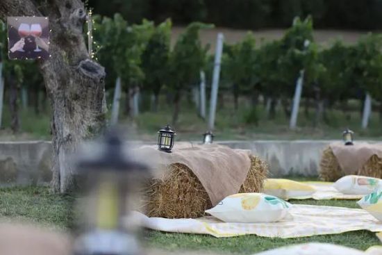 Immagine di Degustazione - Formula Pic-Nic